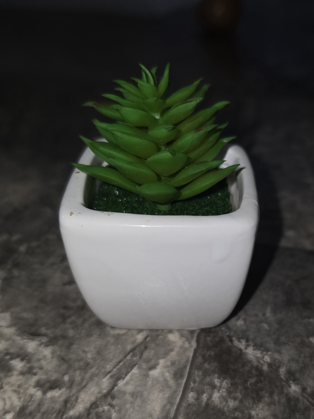 Mini Green Succulent in White Square Ceramic Pot - Decorative Home Accent